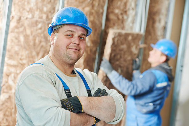 Best Residential Insulation in Fruita, CO